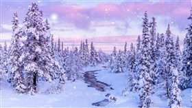 Scenic Winter