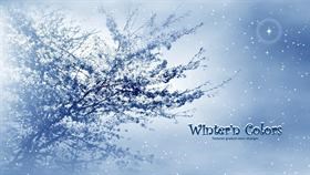 Winter'n Colors #winterdream