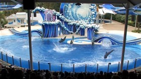 Sea World