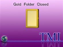 Gold Closed Folder