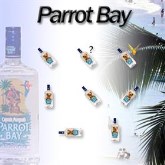 Parrot Bay