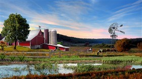 Down On The Farm