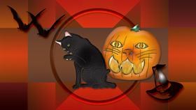 Halloween Cat O Lantern