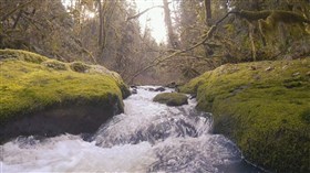 Wolf Creek Falls Trail