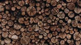 Woodpile Background