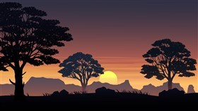 Savanna Silhouette