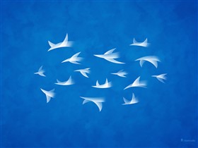 Flock