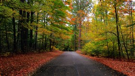 Country Road Oct