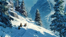 Sledding Together