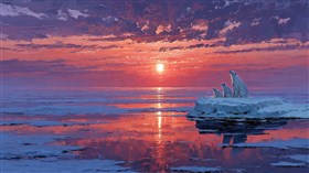 Arctic Sun