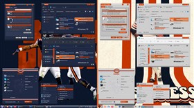 Chicago Bears