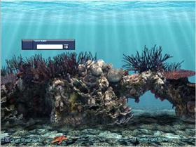 Aquarium Scene One