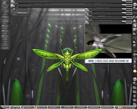 Dragon Flies