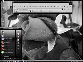 A Study in Black and White