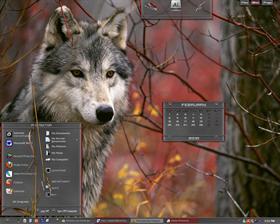 grey wolf Protector..