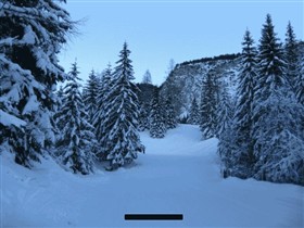Deep Winter