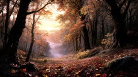 the misty morning