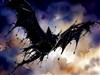 A bat