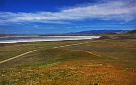 Long Winding Road