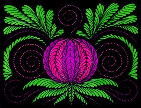 Midnight Bloom