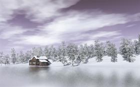 Winter house