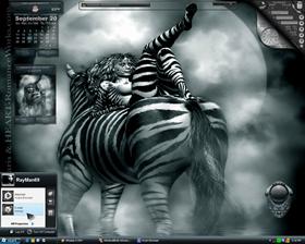 Zebra Girl