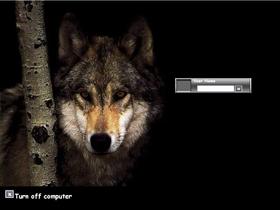 wolf