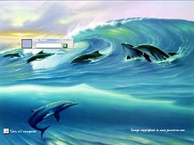 Surfin Dolphins