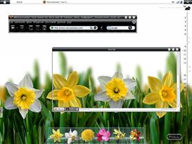 Aero& Flowers