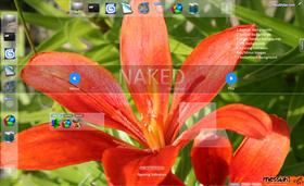 Naked Docks