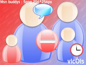 Msn bodies