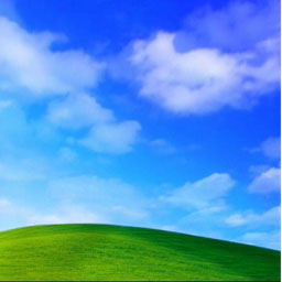 Bliss