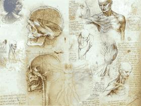Leonardo