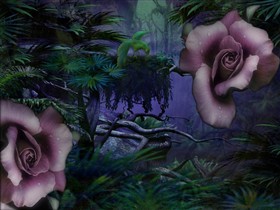 Jungle Rose_vista7