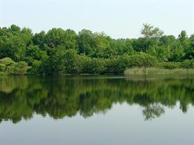 Fishin' Lake