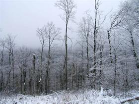 upstate new yoork this winter