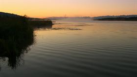 Mornin' Lake Fog