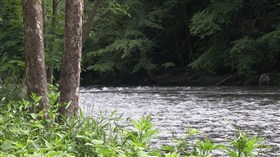 Watching The River Run