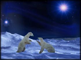 Polar Night's