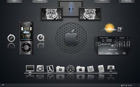 Apple Executive II