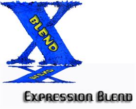 Expression Blend