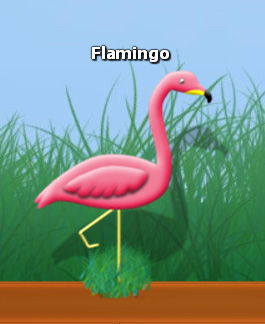 Flamingo