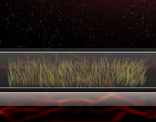 Grass - Animated Icon