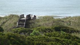 Across the Dunes I