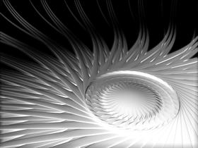 Chrysanthemum