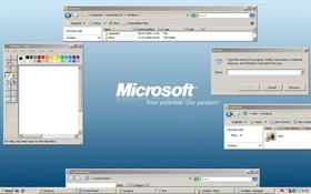 WindowsClassic"91"