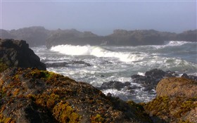 Oregon
