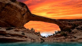 Desert_Glory