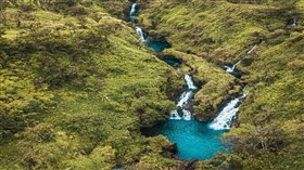 Aerial_Hawaiian_Forest