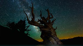 Starlit_Heavens